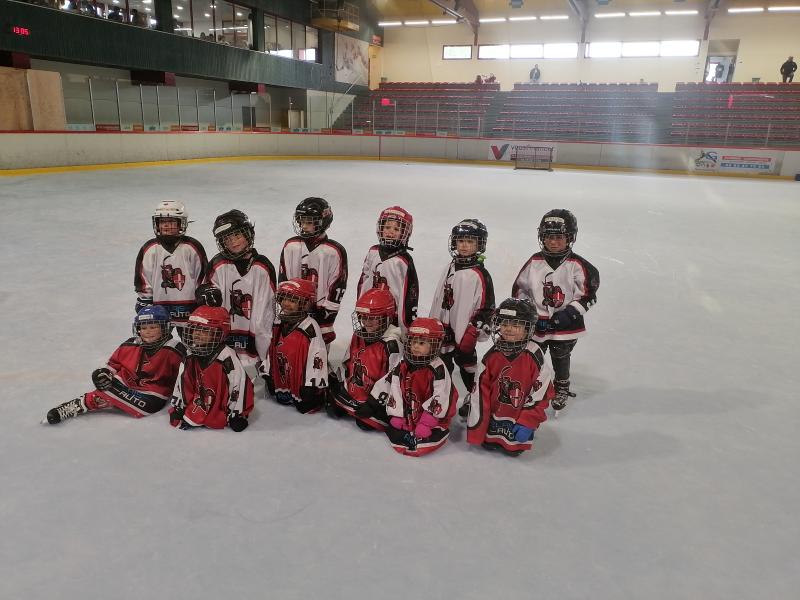 Ecole de hockey